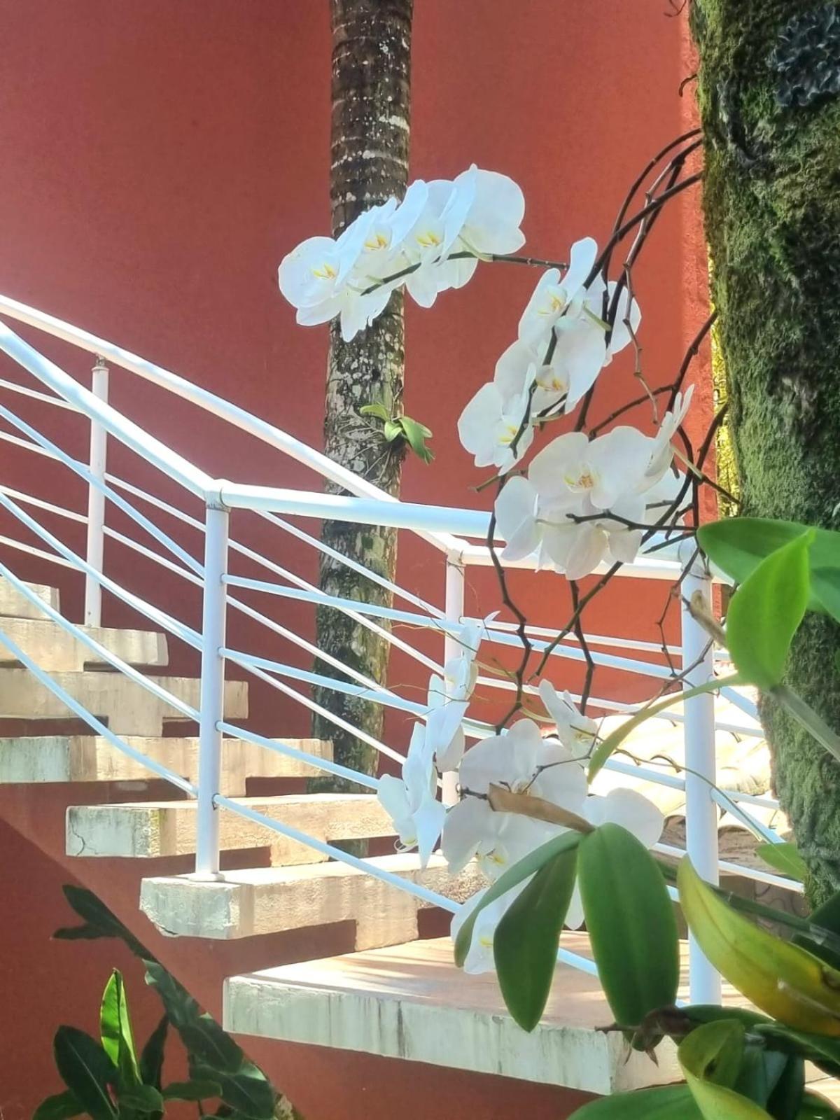 Pousada Vila Jabutis Guarujá Exterior foto